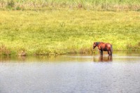 /album/paisagens/fazenda-1-jpg/